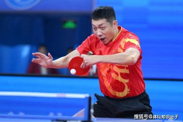 leyu乐鱼体育-波兰队轻取中国队，许昕状态火热